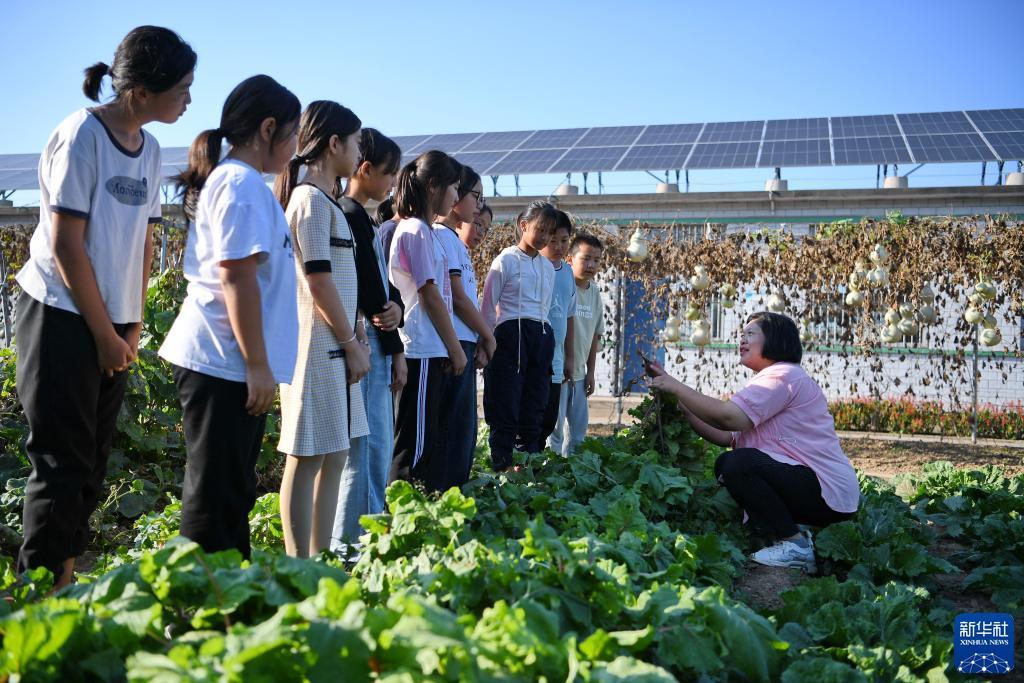 7908威尼斯城官网