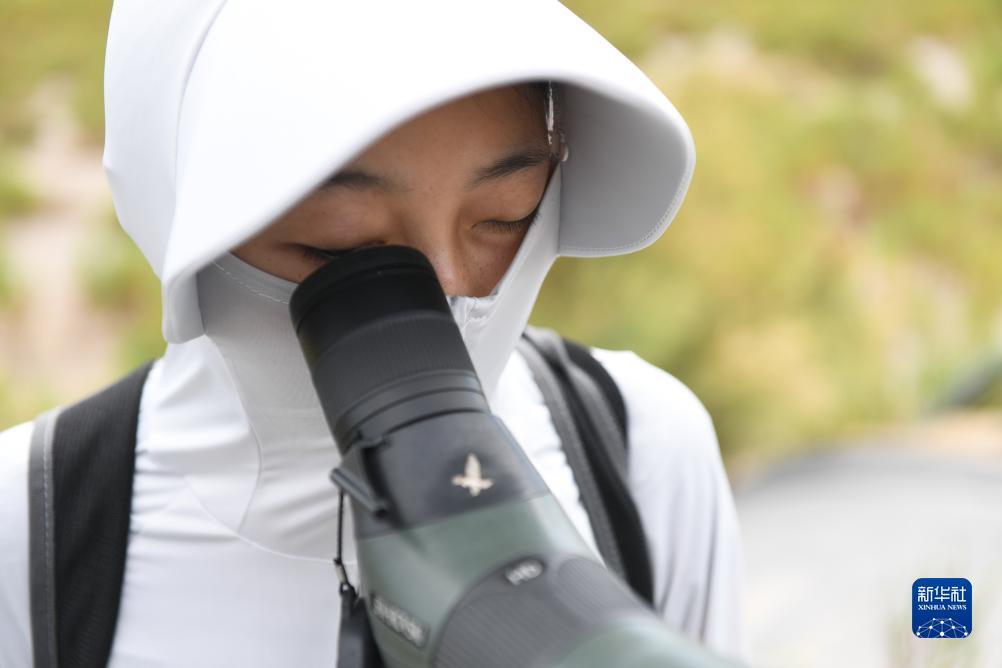 电子游艺爆分